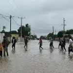 Mozambique Floods: Over 640,000 People Affected by Catastrophic Flooding