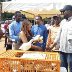 Screenshot 2026 02 16 at 5.06.30 AM 711x424 1