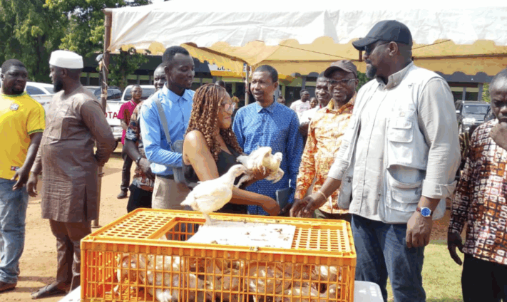 Government Launches Poultry Support Initiative: 110,000 Birds Presented to Farmers in Bono East